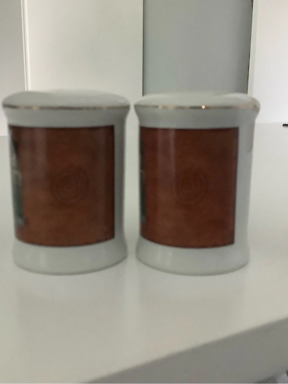 Grand Canyon Souvenir Ceramic Salt & Pepper Shakers in White with Brown Accents